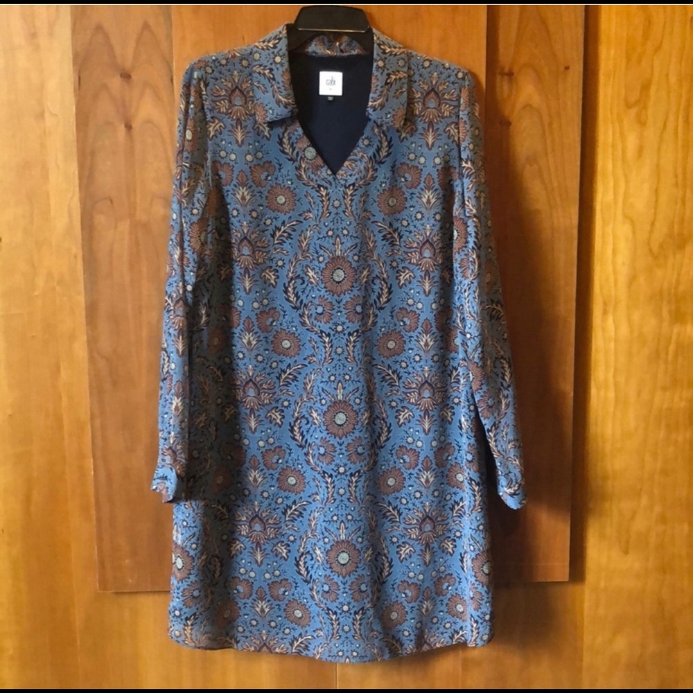 CAbi dress